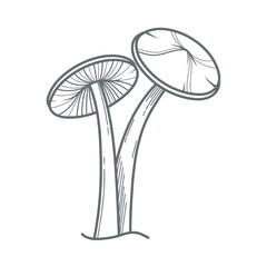 Two mushroom trees illustration vector.