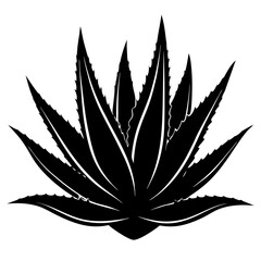 aloevera plant silhouette vector on white background