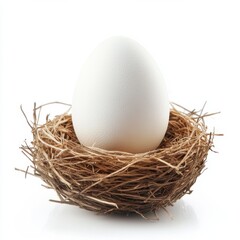 White Egg Nestled in Natural Straw Nest on White Background