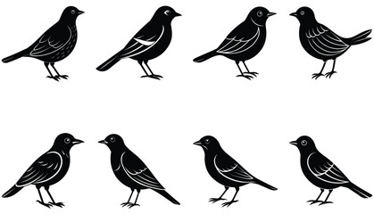 Bird vector shilhouette bundle set icon