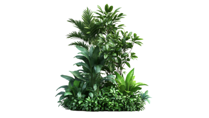 Green leaves isolated