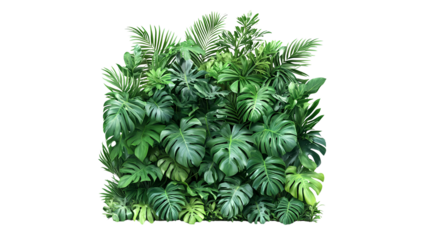 Green leaves isolated