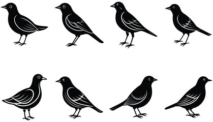 Bird vector shilhouette bundle set icon