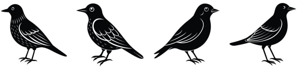 Bird vector shilhouette bundle set icon