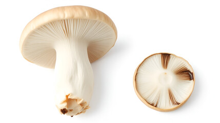Fototapeta premium Two fresh mushrooms champignons, one whole and the other cut in half isolated on white background with clipping path