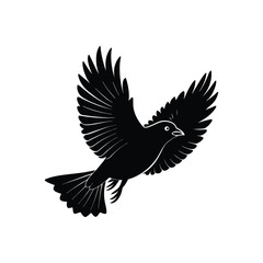 bird silhouette vector on white background
