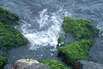 In overcast weather, waves hit the rocks at the seaside