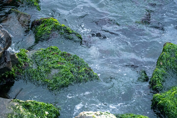 In overcast weather, waves hit the rocks at the seaside