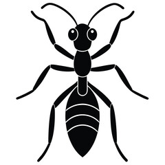 vector illustration of an ant  on white