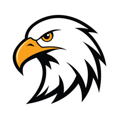 american bald eagle