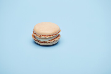 One alone beige fresh small cake biscuit macaron cookie isolated on the bright solid fond plain bright blue background