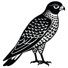 vector illustration of a bird