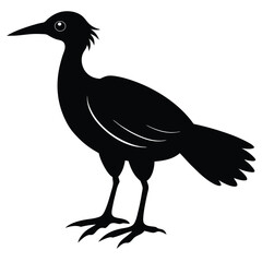 bird on a white background