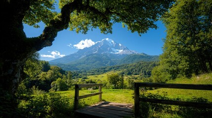Lush green landscape with a tall mountain in the distance