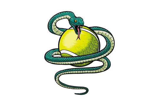 illustration of snake with tennis ball