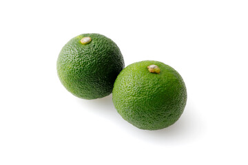 すだち　Sudachi (Japanese citrus)