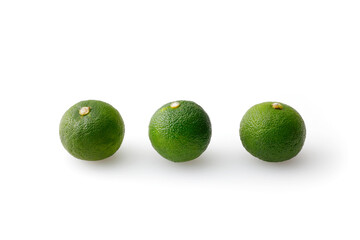 すだち　Sudachi (Japanese citrus)