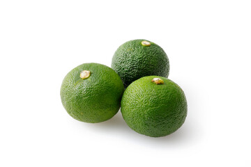 すだち　Sudachi (Japanese citrus)