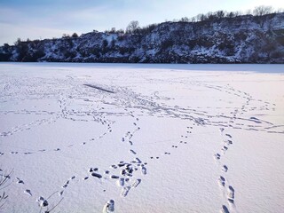 Frozen Lake with Footprints and Skating Trails