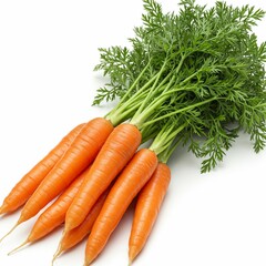Bright Orange Carrots with Green Tops for Farm
