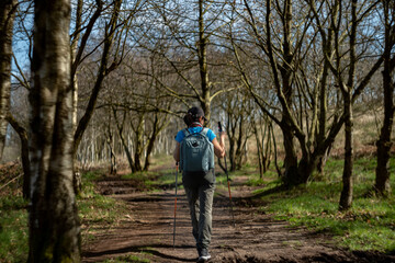 Obraz premium Hiker walks along a tree-lined path holding two hiking poles.