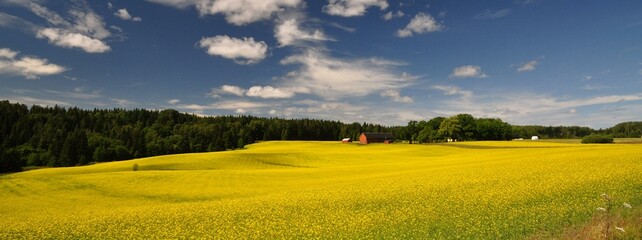 Dalsland-59