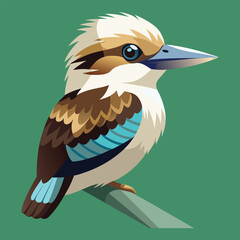 Kookaburra bird vector art illustration.