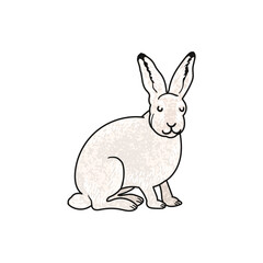 Vector Colorful Illustration of Polar Hare Isolated on White Background
