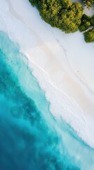 Aerial view of tropical beach with white sand, turquoise water, and lush green coastal forest