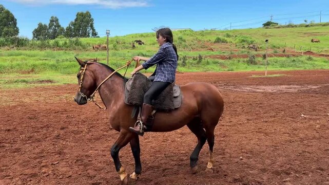 menina faz passeio com cavalo 