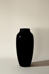 Art photography of vase. elegant or minimalist 