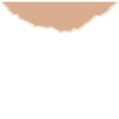 Brown Torn Paper 