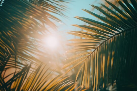 Tropical summer escapes beachside paradise with sunlit sand and lush palm fronds for sun seekers and holiday adventurers