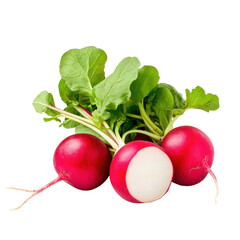 radish isolated on white