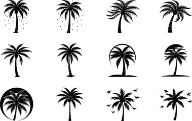 Fototapeta premium Twelve Palm Tree Icons Silhouette Designs, Tropical, Summer, Vacation