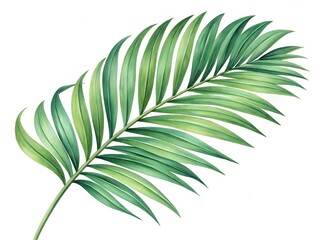 Obraz premium Vibrant Green Palm Leaf on White Background - Nature's Elegance