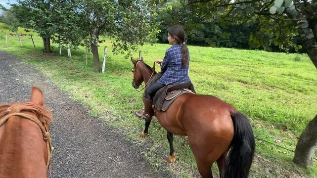 menina faz passeio com cavalo 