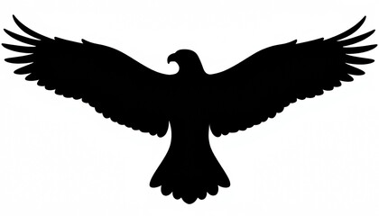 Obraz premium Majestic hawk soaring with wings spread against plain white background, freedom