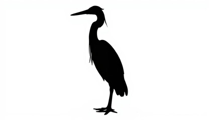 Obraz premium Elegant heron standing gracefully in silhouette against white backdrop, symbolism of tranquility