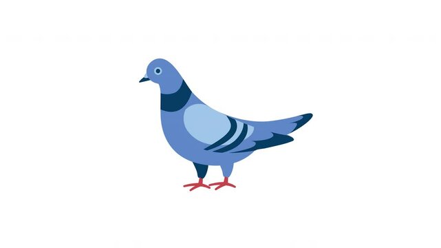 Colorful Vector Illustration of a Blue Pigeon Standing Gracefully