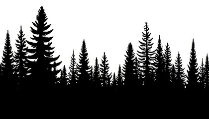 Obraz premium Towering black pine silhouettes against crisp white canvas, serene contrast
