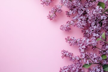 Lilac flowers arranged on a soft pink background to evoke beauty and elegance. Generated AI