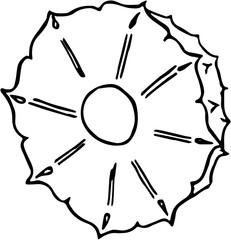 Fruit. Hand drawn vector isolated sketch. Pineapple 