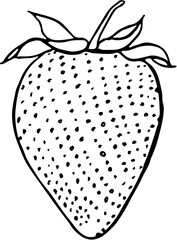 Fruit. Hand drawn vector isolated sketch. Strawberry