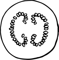 Fruit. Hand drawn vector isolated sketch. Tamarillo 