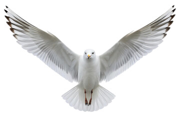 Fototapeta premium White bird with outstretched wings glides gracefully through the air showcasing its beauty and elegance, cut out