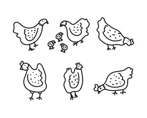 set of cartoon chicken