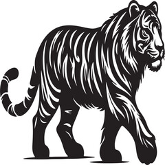 wild animals vector design oftigers isolated on white beckground