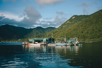 Obraz premium boats on the lake