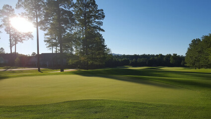 Obraz premium Grass field